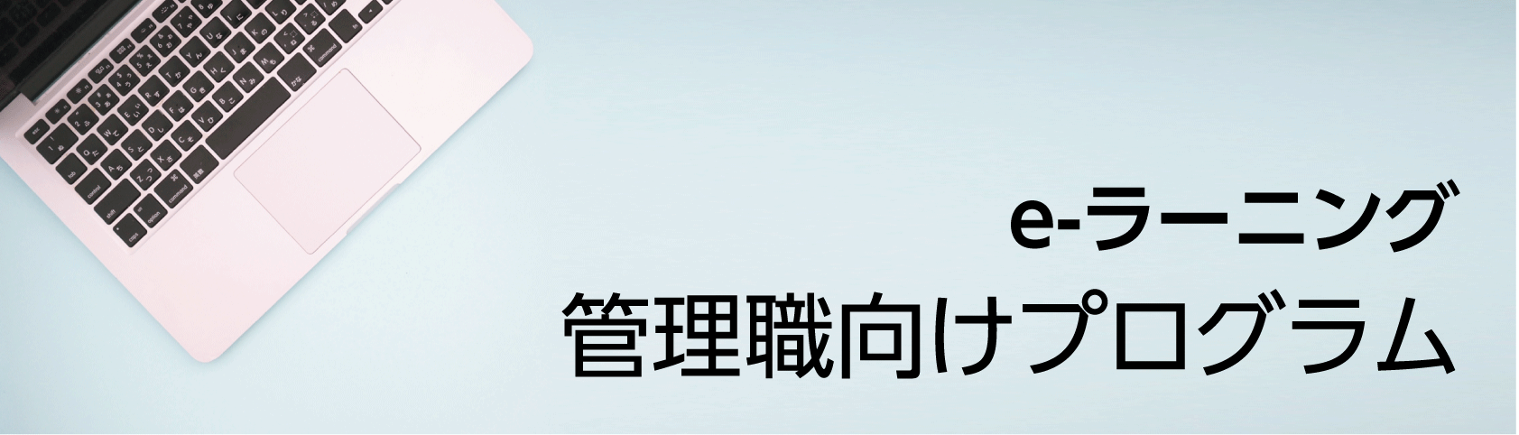  e-ラーニング管理者向けプログラム